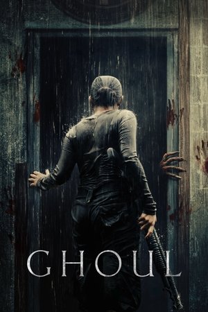 Ghoul (2018) Season 1 Hindi Completed Web Series HD ESub