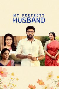 My Perfectt Husband Season 1 (2024) Hindi Completed Web Series HD ESub