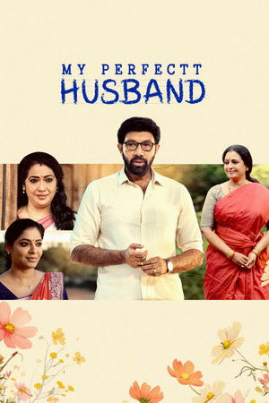 My Perfectt Husband Season 1 (2024) Hindi Completed Web Series HD ESub