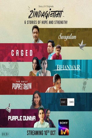 Zindaginama (2024) Season 1 Hindi Completed Web Series HD ESub