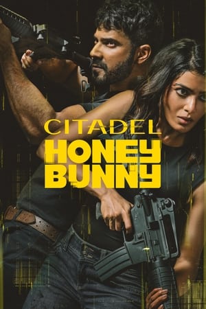 Citadel Honey Bunny (2024) Season 1 Hindi Completed Web Series HD ESub