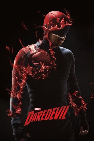 Daredevil Season 2 (2016) Dual Audio [Hindi + English] Completed Web Series BluRay ESub