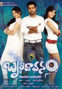 The Super Khiladi (Brindavanam) 2010 Dual Audio [Hindi – Telugu] Movie BluRay ESub