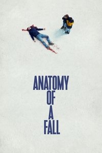 Anatomy of a Fall (2023) Hindi Dubbed Full Movie BluRay ESub