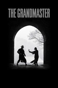 The Grandmaster (2013) Dual Audio [Hindi – Chinese] Full Movie BluRay ESub