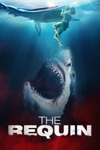 The Requin (2022) Dual Audio [Hindi – English] Movie BluRay ESub