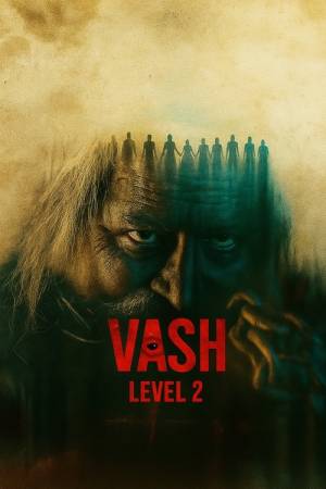 Vash Level 2 (2025) DS4K Dual Audio [Hindi & Gujarati] Full Movie HD ESub