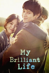 My Brilliant Life (2014) Dual Audio [Hindi – Korean] Full Movie BluRay