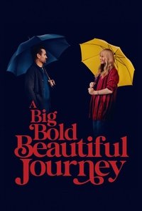 A Big Bold Beautiful Journey (2025) Dual Audio [Hindi & English] Full Movie HD ESub