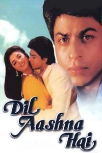 Dil Aashna Hai (1992) Hindi Full Movie HD ESub