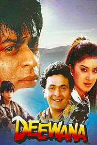 Deewana (1992) Hindi Full Movie HD ESub