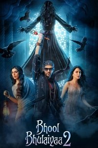 Bhool Bhulaiyaa 2 (2022) Hindi Movie HD ESub