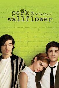 The Perks of Being a Wallflower (2012) Dual Audio [Hindi & English] Full Movie BluRay ESub