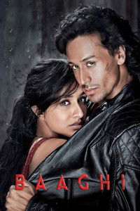 Baaghi (2016) Hindi Full Movie BluRay ESub