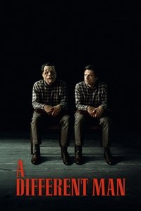 A Different Man (2024) Dual Audio [Hindi + English] Full Movie BluRay ESub