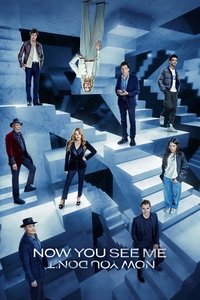 Now You See Me Now You Dont (2025) Dual Audio [Hindi + English] Full Movie BluRay ESub