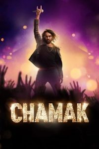 Chamak (2023) Season 1 Hindi Completed Web Series HD ESub