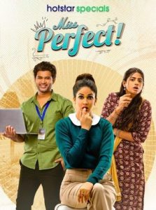 Miss Perfect (2024) Season 1 Hindi Completed Web Series HD ESub