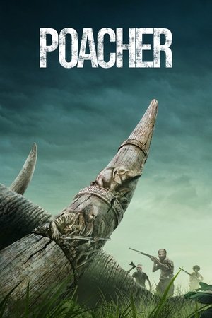 Poacher (2024) Season 1 Hindi Completed Web Series HD ESub