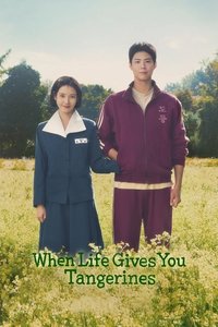 When Life Gives You Tangerines (2025) Season 1 Complete [Hindi ORG. + Multi Audio] WEB Series HD