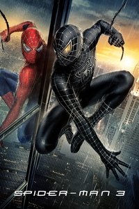 Spider-Man 3 (2007) (Hindi + English) Dual Audio Hollywood Movie BluRay HD ESub